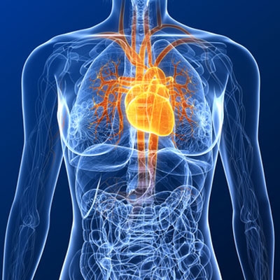 Chirurgie cardiaque