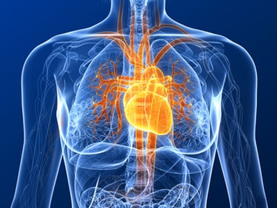 Chirurgie cardiaque